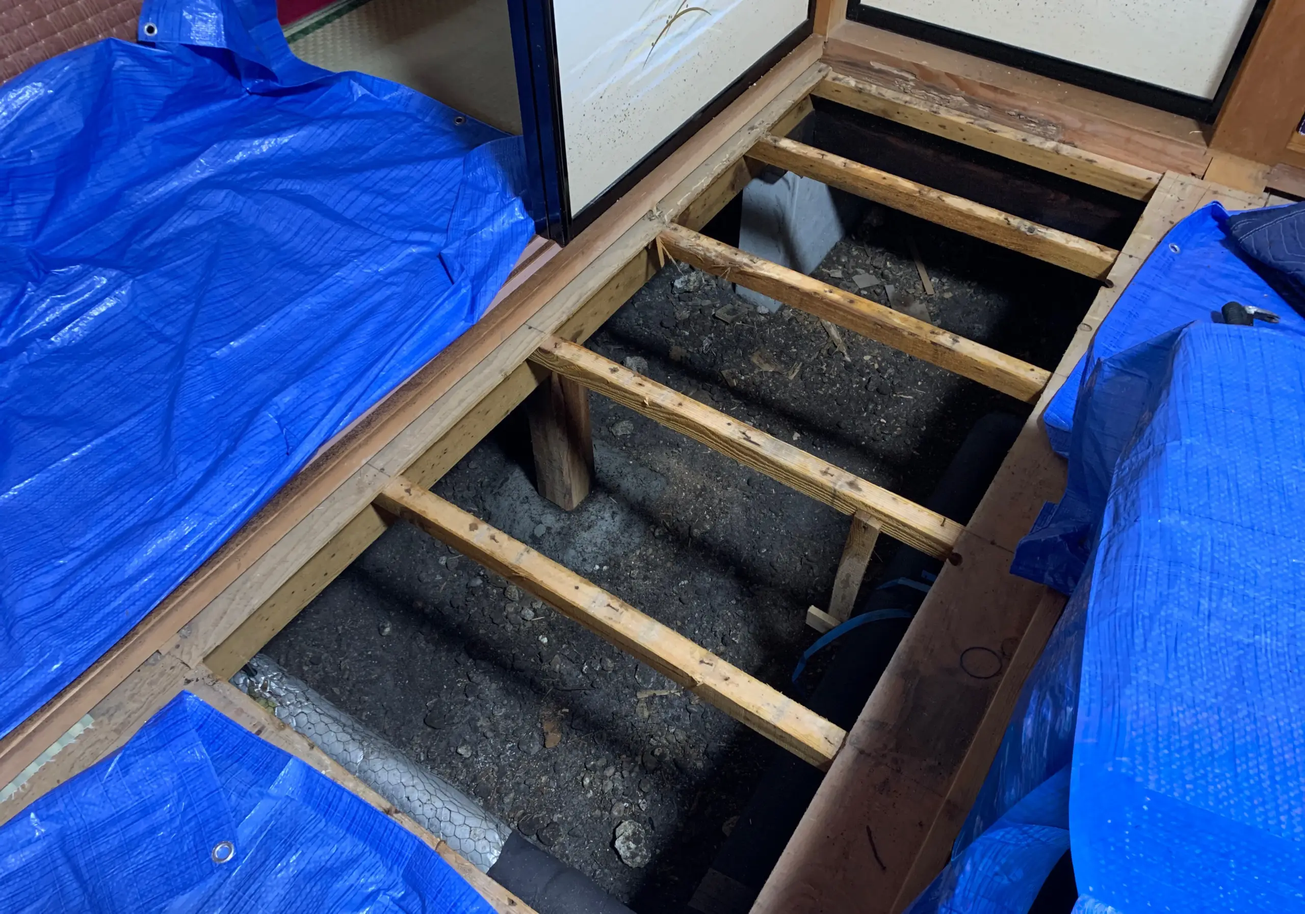 シロアリ養生中の写真