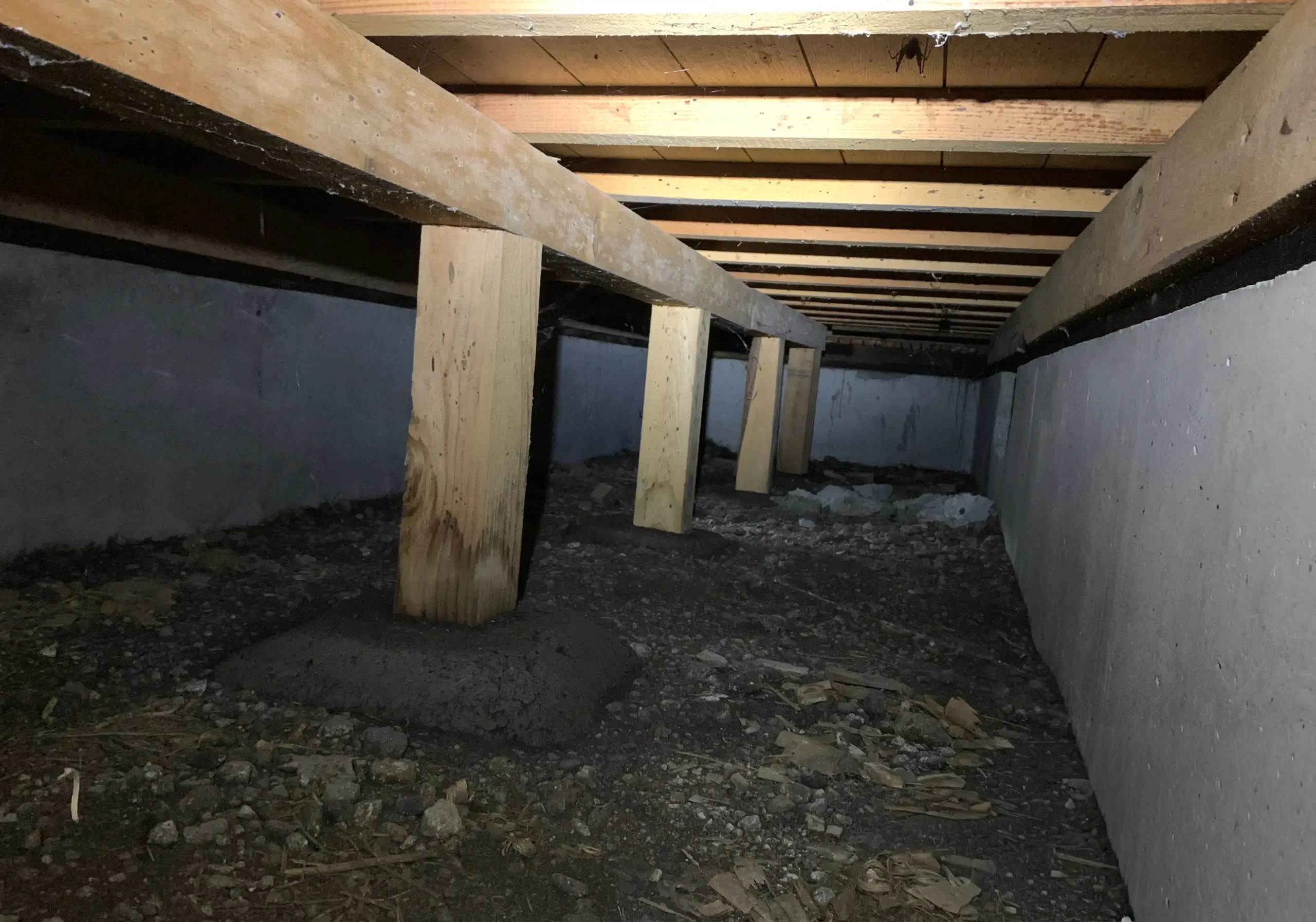 シロアリ消毒する前の床下の写真