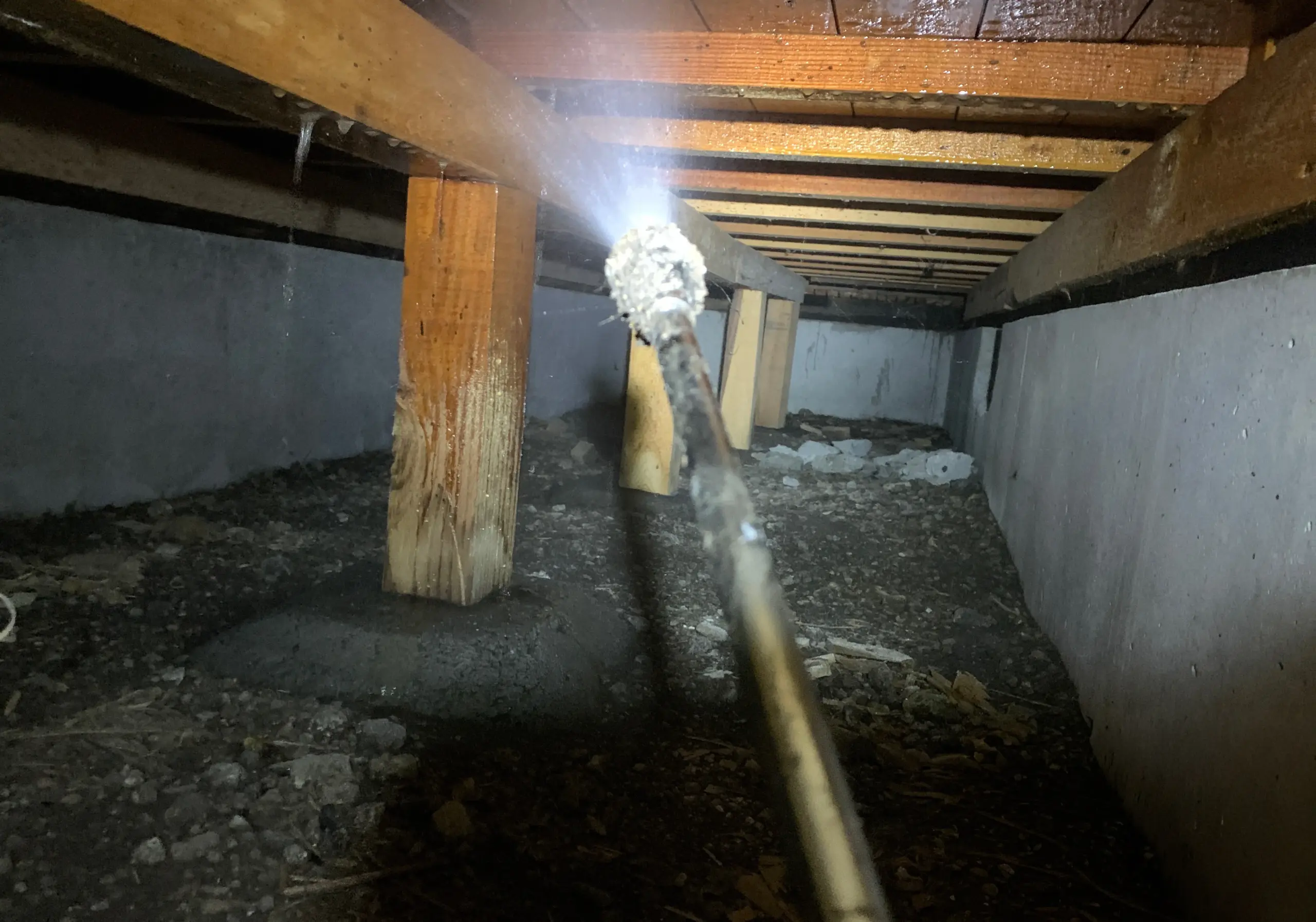 シロアリ消毒作業中の写真