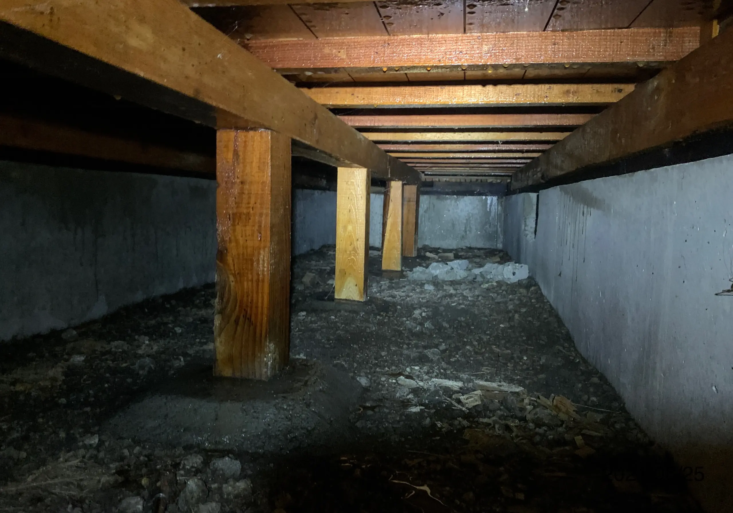 シロアリ消毒作業後の写真