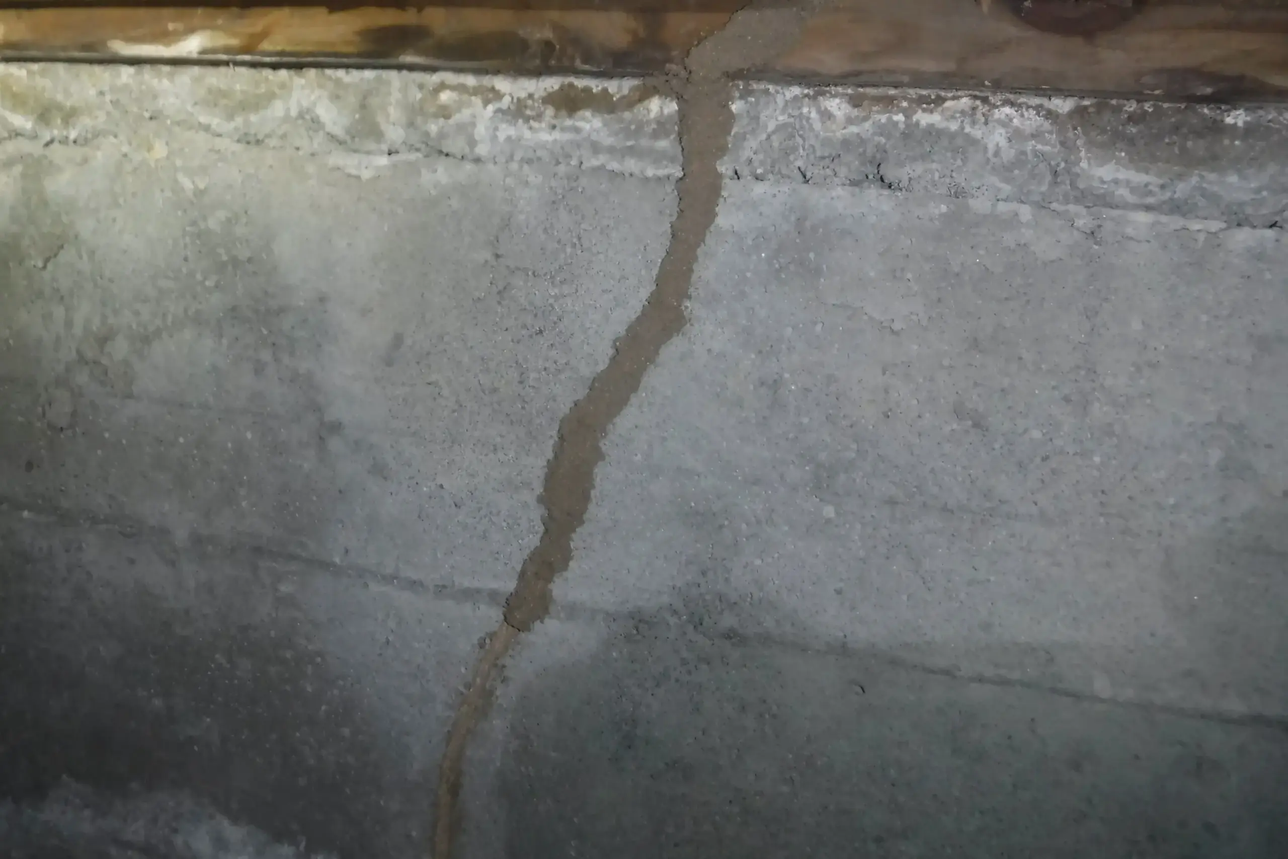 中古物件の床下で、布基礎部分に蟻道の初期サインを発見