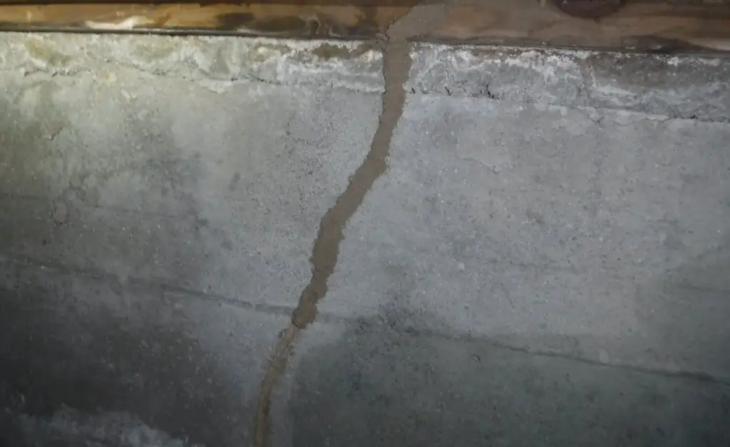 中古物件購入後、無料床下調査で蟻道発見