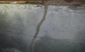 中古物件購入後、無料床下調査で蟻道発見