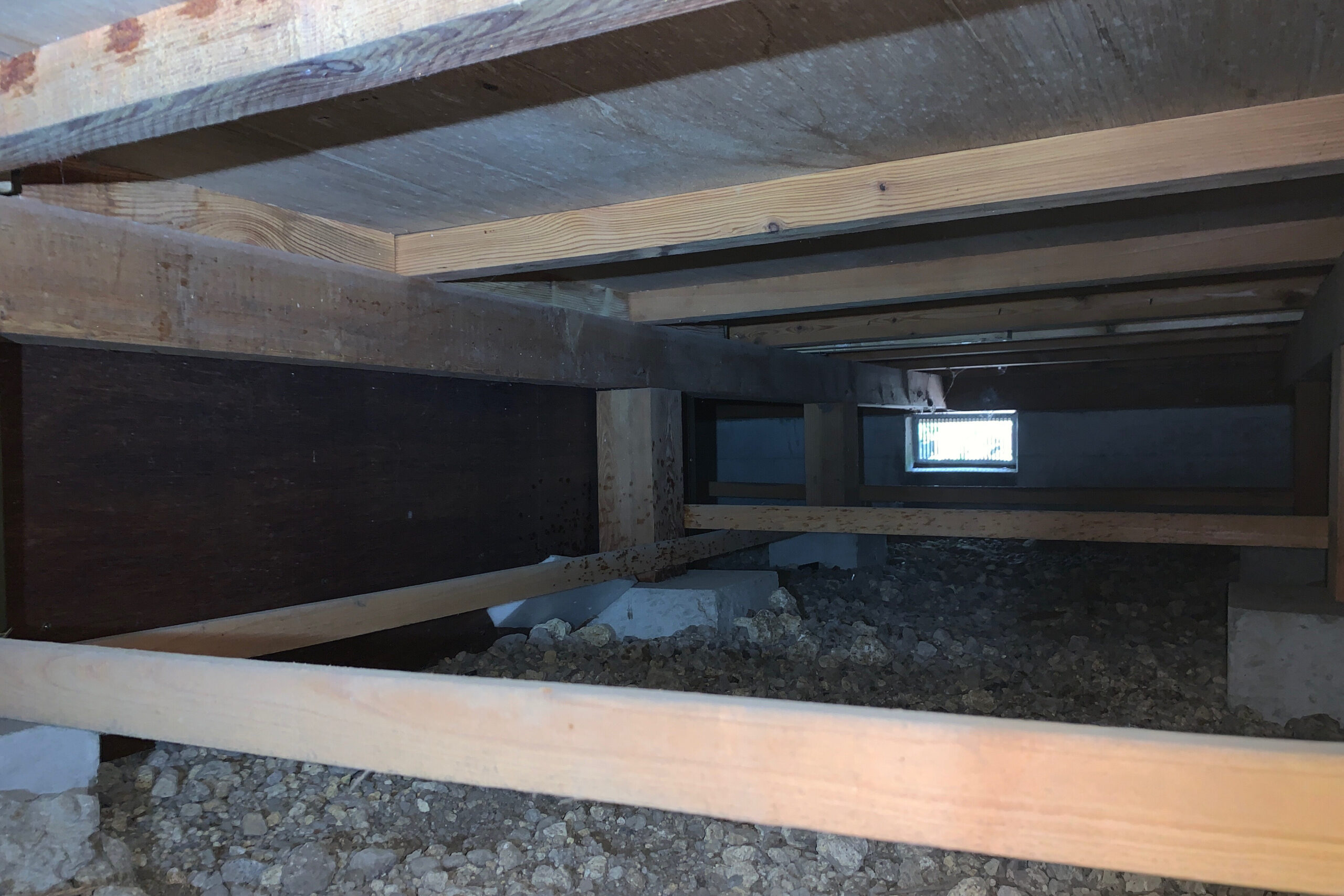 シロアリ被害が確認された、木造住宅の床下全体の様子（施工前）