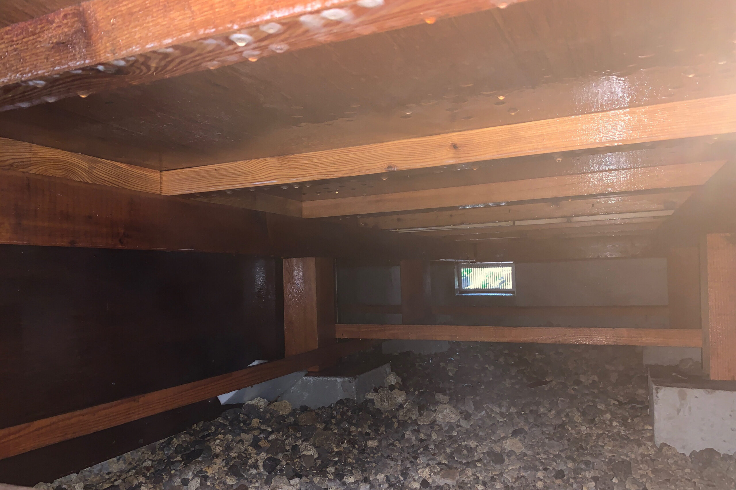 薬剤散布が完了し、再発防止のバリア処理が施された床下木部の状態