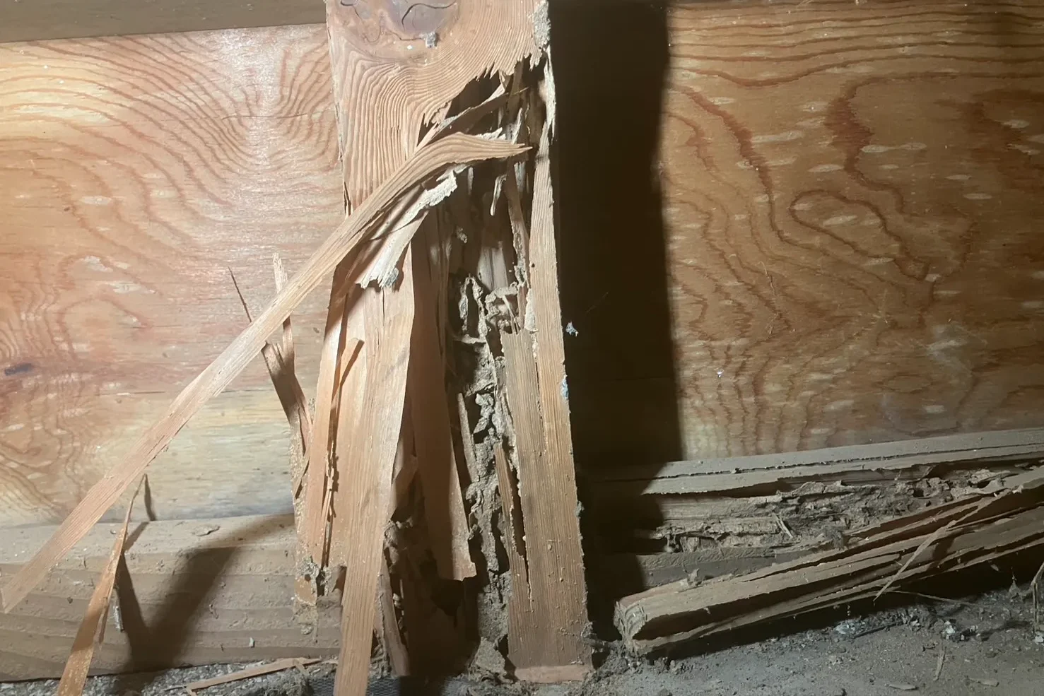 シロアリ被害で柱の内部が空洞化し、木材がボロボロに崩れている床下の様子
