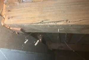 佐賀県佐賀市の築20年中古住宅で行ったシロアリ駆除施工事例