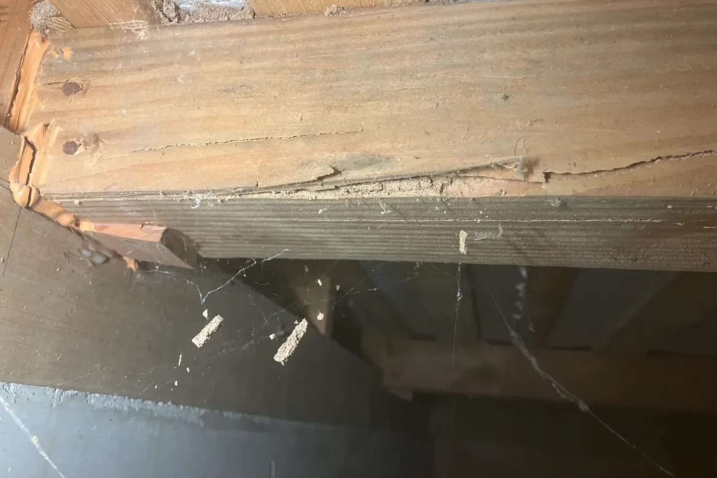 中古住宅の床下で見つかった、シロアリによって激しく食害され剥離した土台の木材