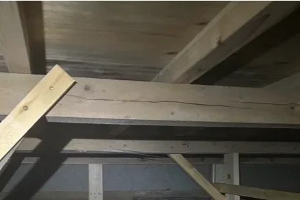 ベタ基礎と樹脂製束が整然と並ぶ、食害のない健全な状態。