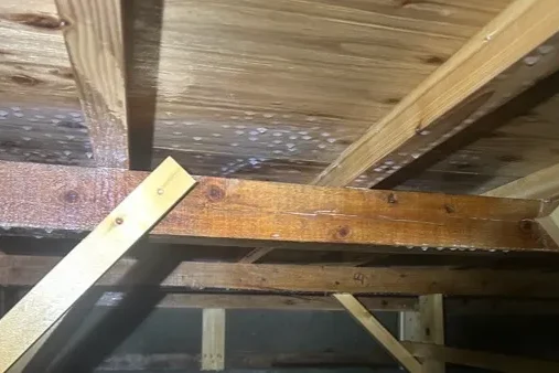 薬剤散布が完了した床下。基礎から木部までムラなく防蟻処理が施された、施工後の様子。