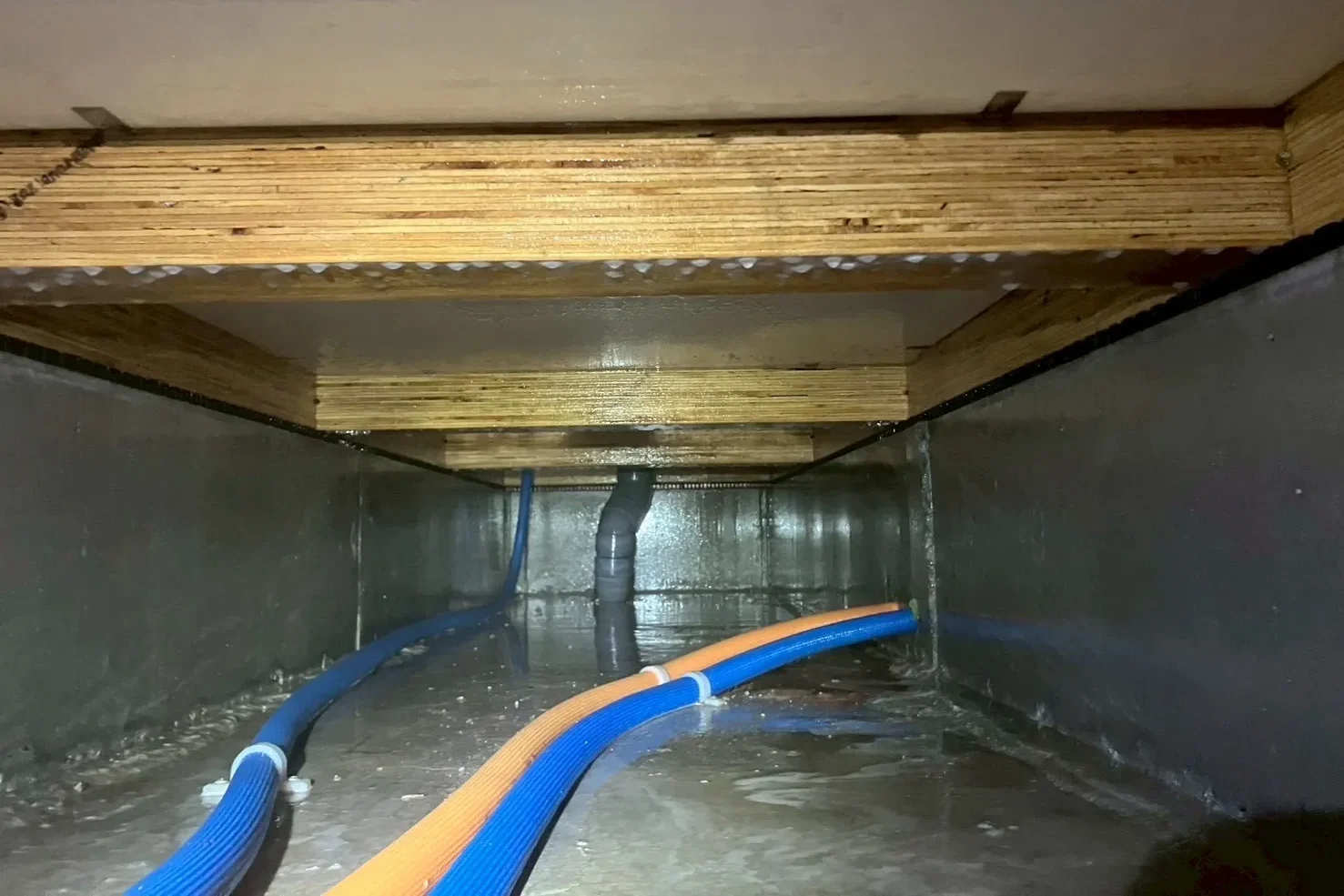 防蟻施工完了後の床下木部。薬剤が木材の繊維にしっかり浸透し、表面に均一なバリアが形成された様子