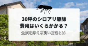 30坪のシロアリ費用