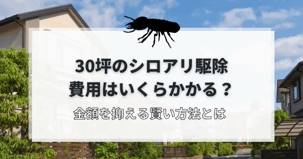 羽ありとシロアリの違い