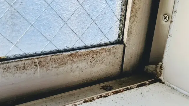 浴室のカビイメージ画像