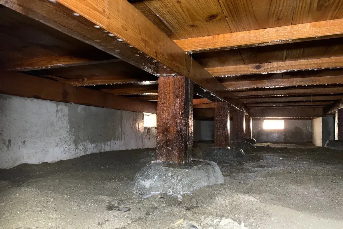 散布完了後の床下木部。薬剤が浸透し、防蟻バリアが形成された状態