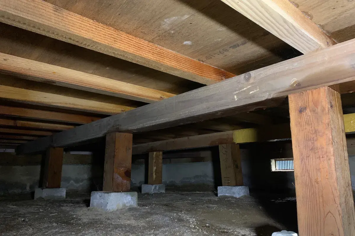 床下の湿気とカビの発生状況を点検