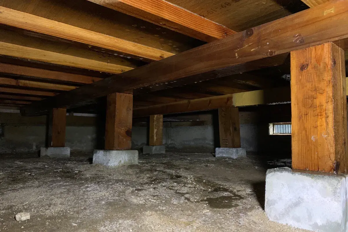 シロアリ予防のバリア形成が完了した床下