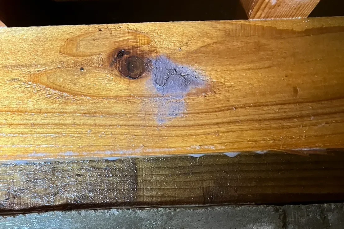 シロアリ駆除剤がしっとりと染み込み、木部表面に定着して防蟻バリアが形成された床下の土台