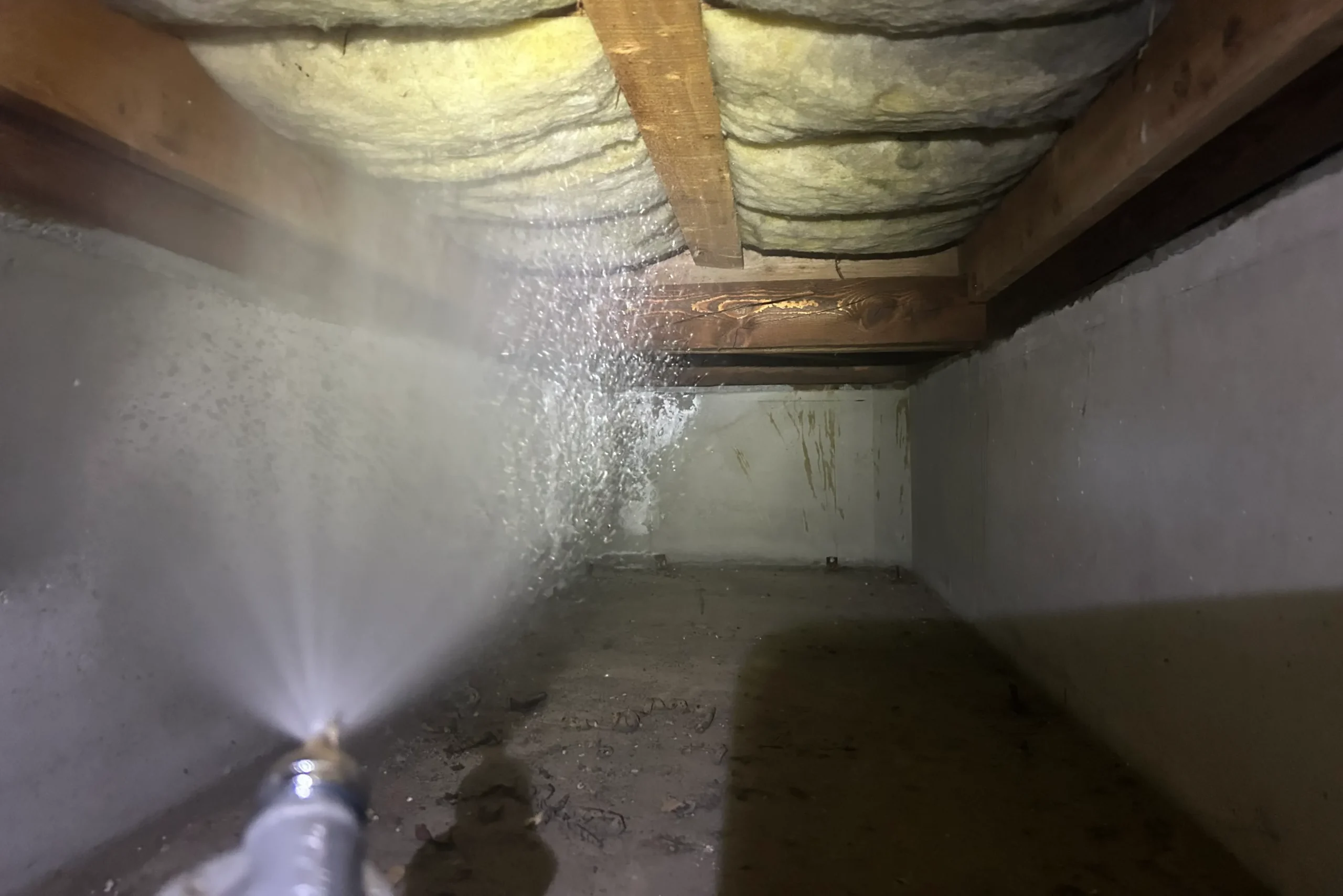 噴霧器を使い木部へ薬剤を霧状に散布している様子