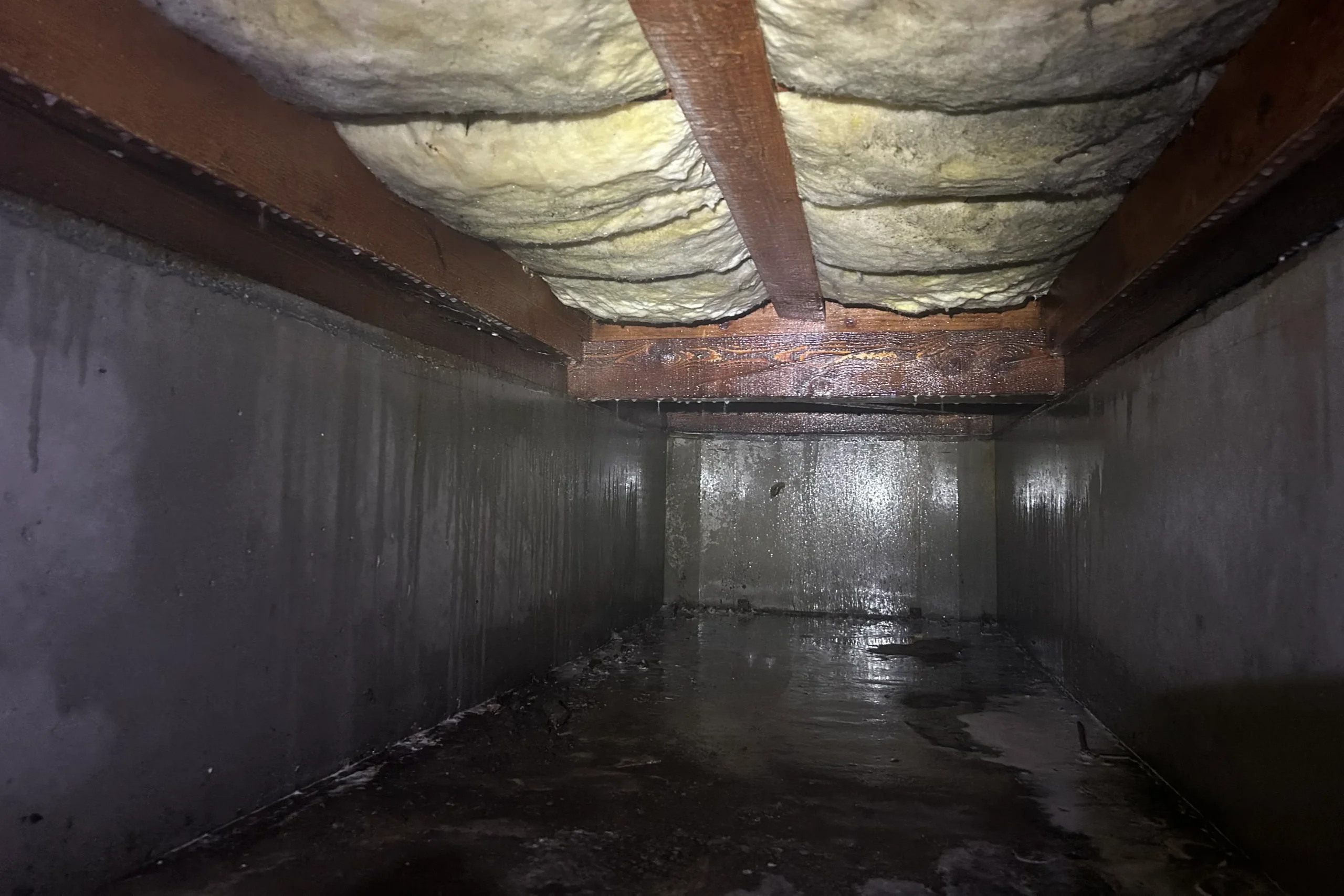 薬剤散布後に土台や根太の木材がしっとりと濡れ、防蟻バリアが形成された施工後の様子