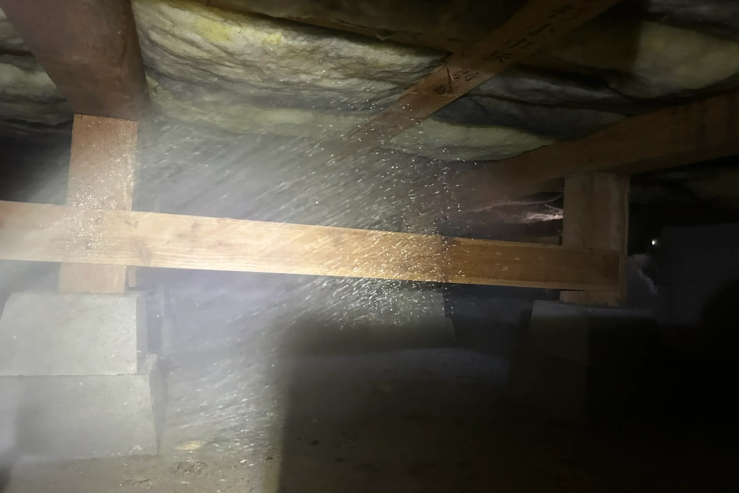 暗い床下の束柱や大引きの接合部へ向けて丁寧に薬剤を噴霧するシロアリ防除作業の様子