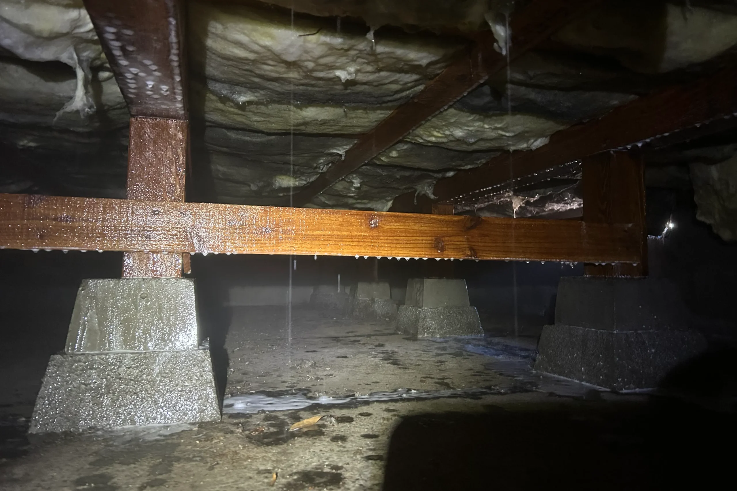 断熱材の下にある木部全体へ薬剤が行き渡り、薬剤が滴るほど十分に施工された完了写真