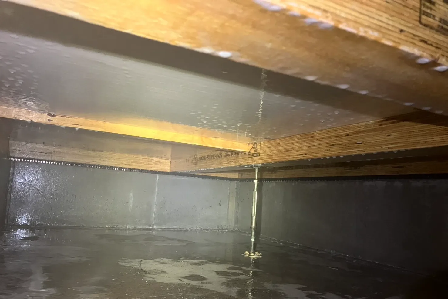 薬剤散布が完了し、隅々まで防蟻バリアが施された清潔な床下の状態