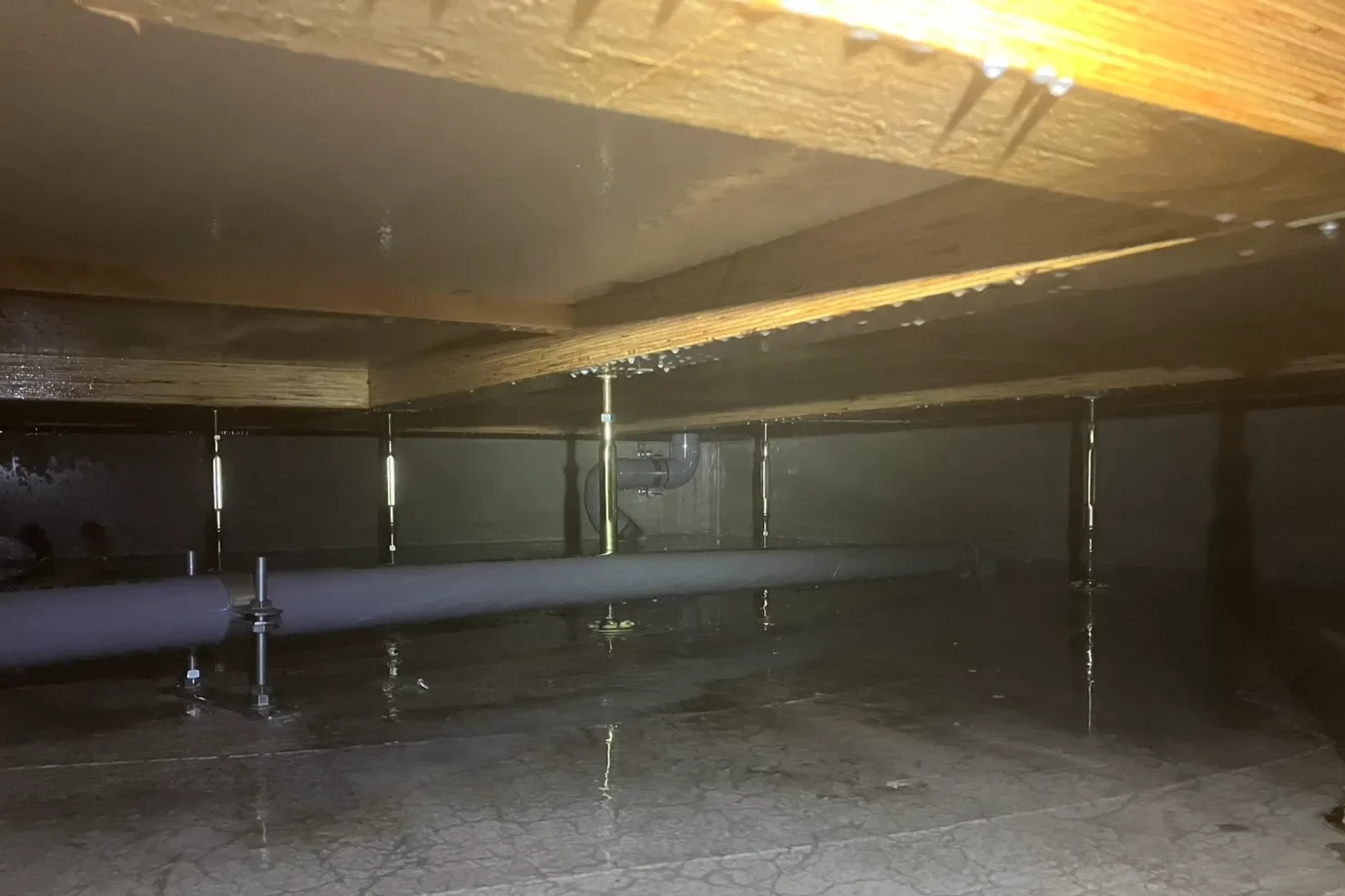 薬剤散布が完了し、表面が濡れた状態の床下。鋼製束と配管が並ぶ。