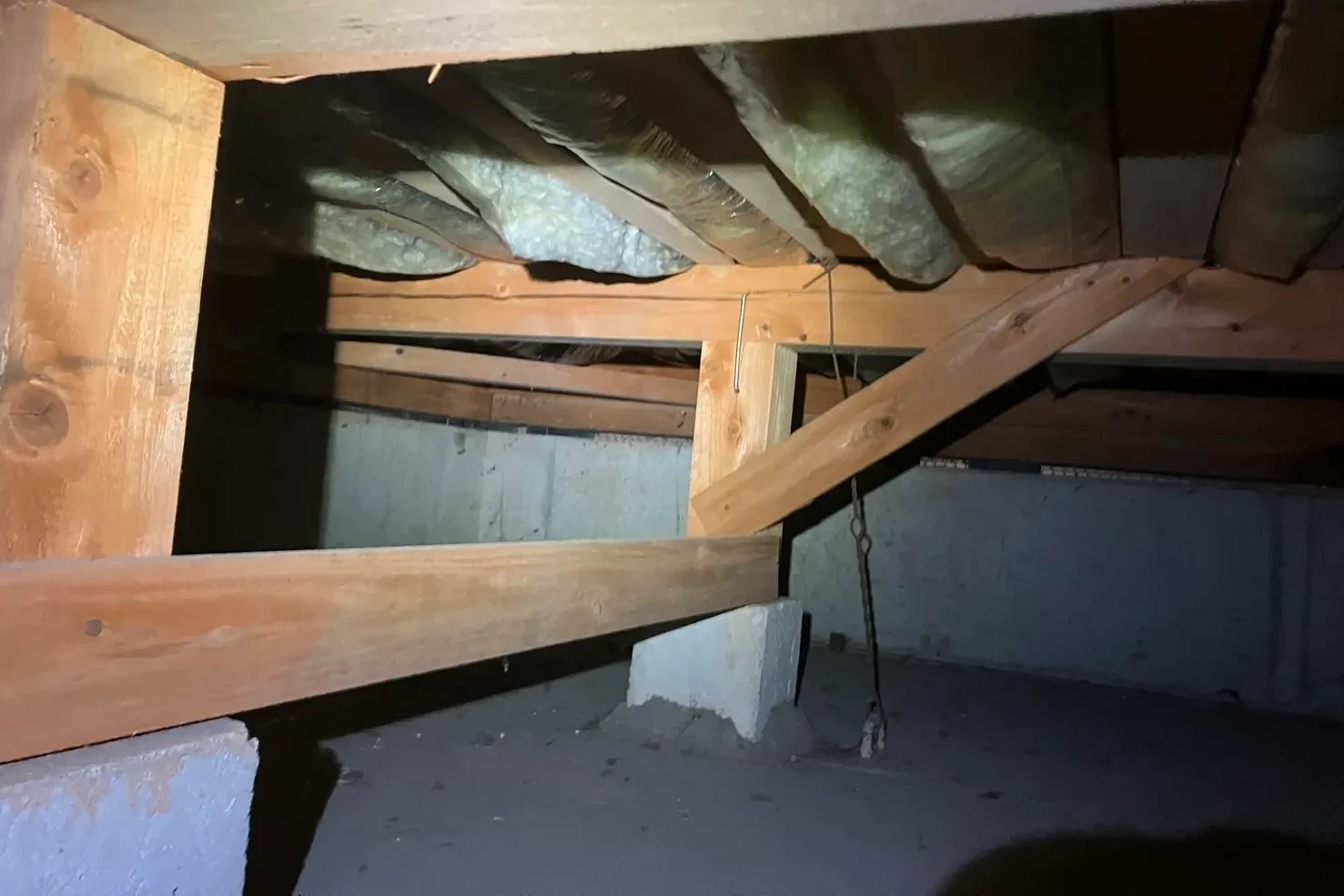 床下点検で、束柱や基礎にシロアリの蟻道がないか調査中の様子