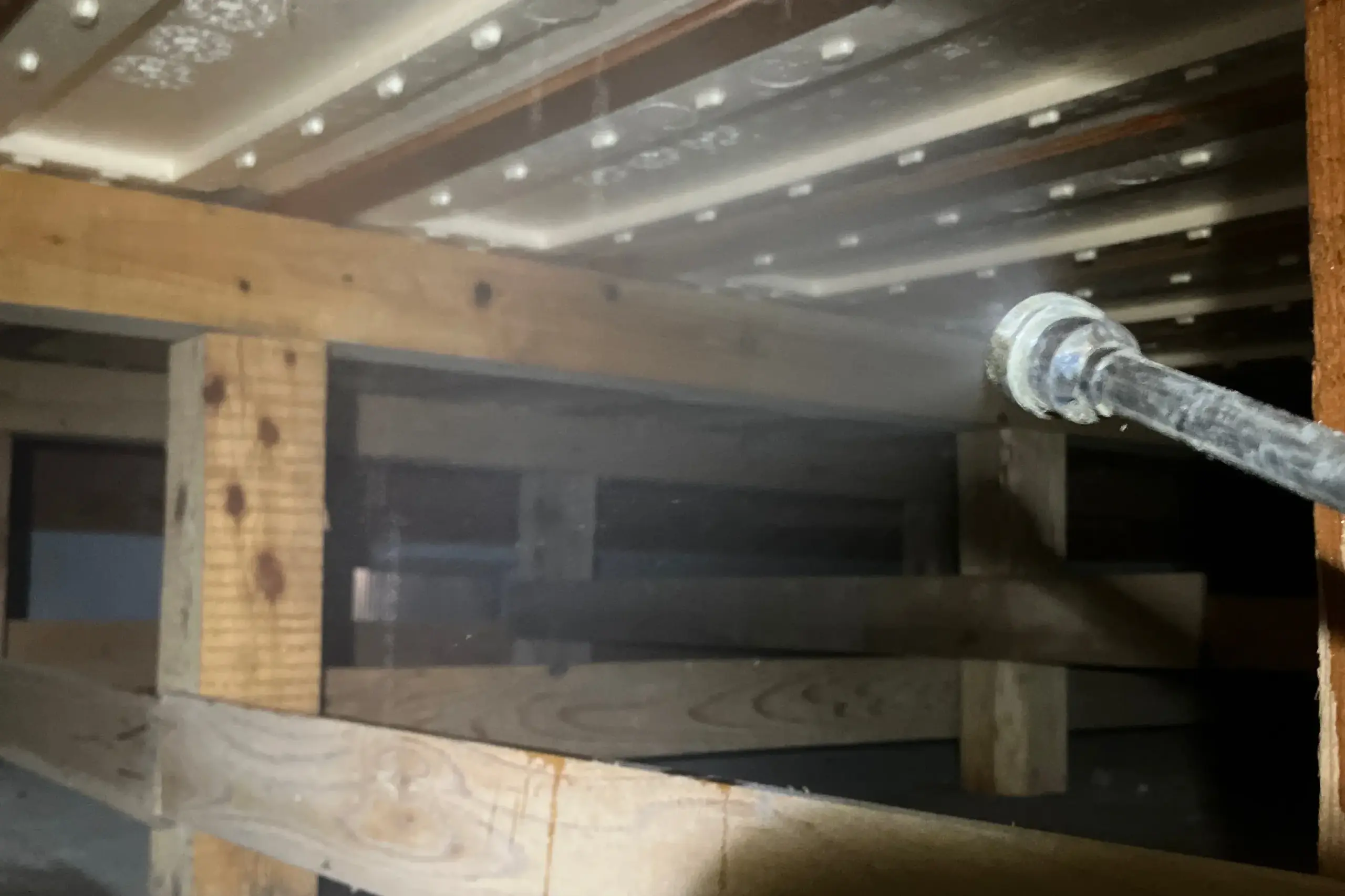 シロアリ駆除作業中の写真