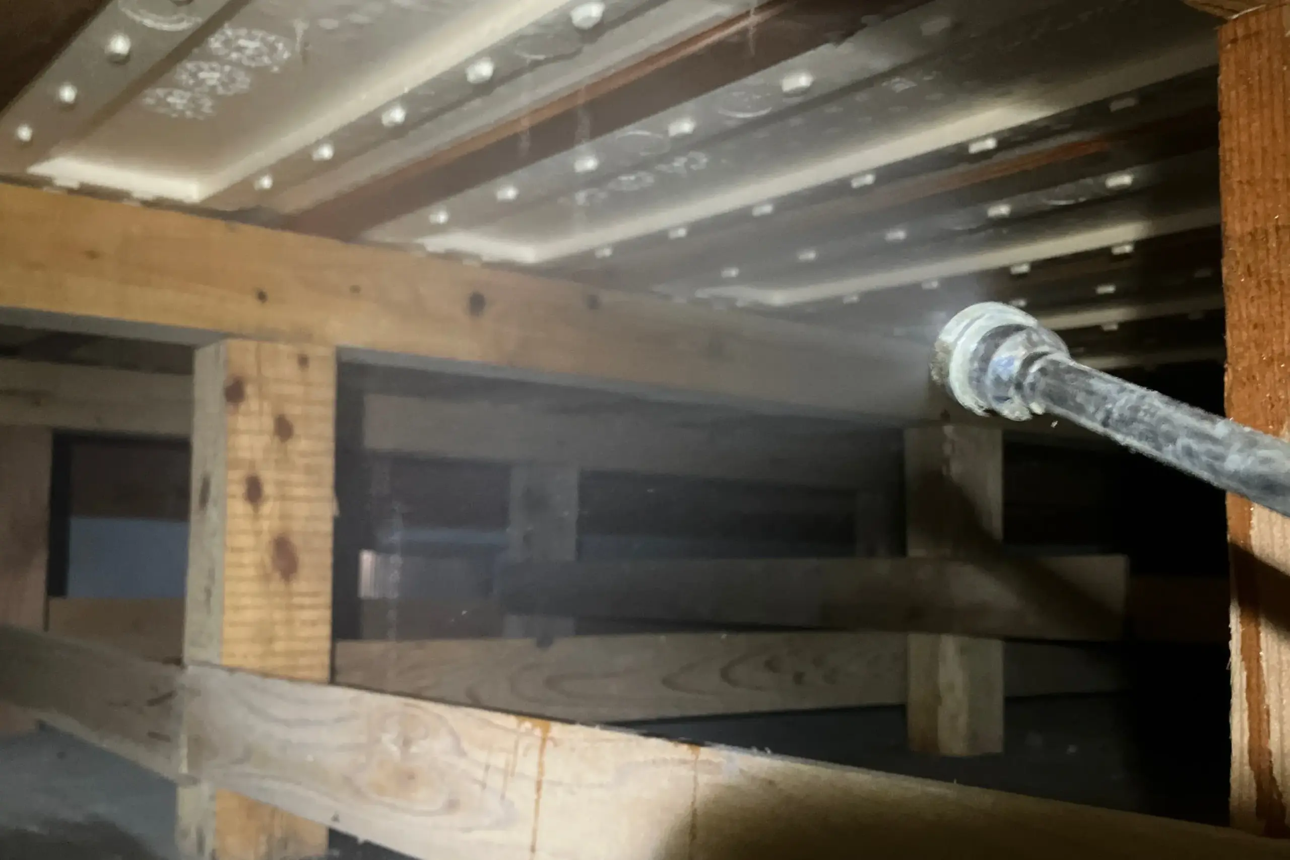 シロアリ駆除作業中の写真