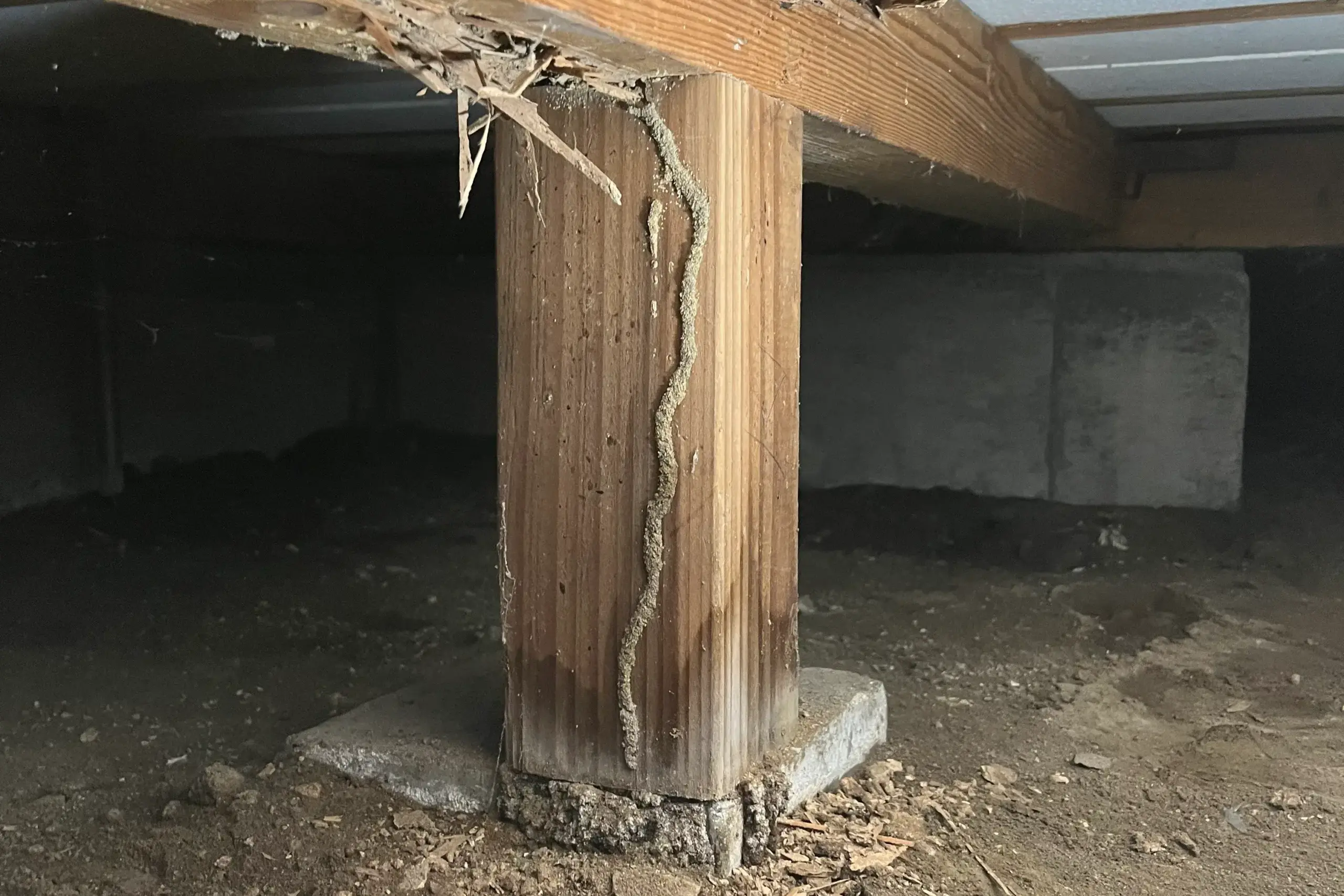 熊本県熊本市の築30年一戸建ての床下で発見された蟻道の様子