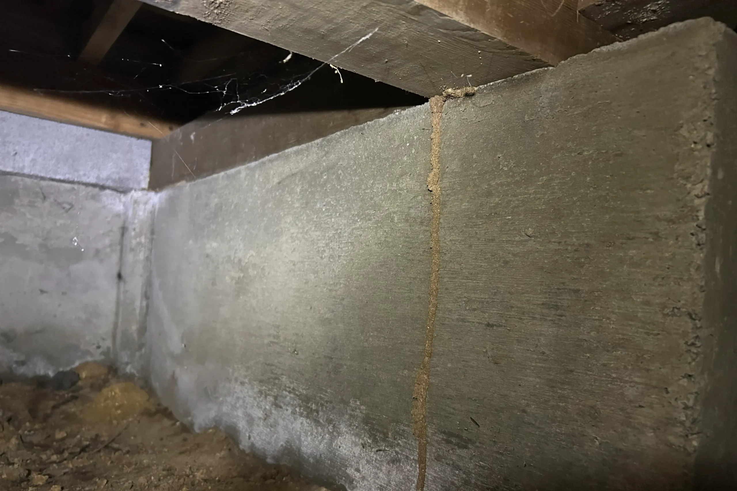 鹿児島県霧島市の築40年住宅、基礎コンクリートを垂直に登るシロアリの通り道(蟻道)の様子