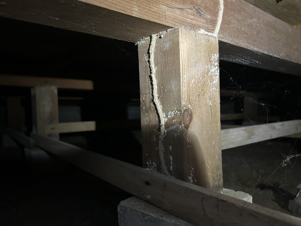 和歌山県田辺市の築30年一戸建てで行ったシロアリ駆除施工事例