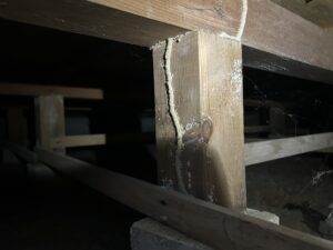 和歌山県田辺市の築30年一戸建てで行ったシロアリ駆除施工事例