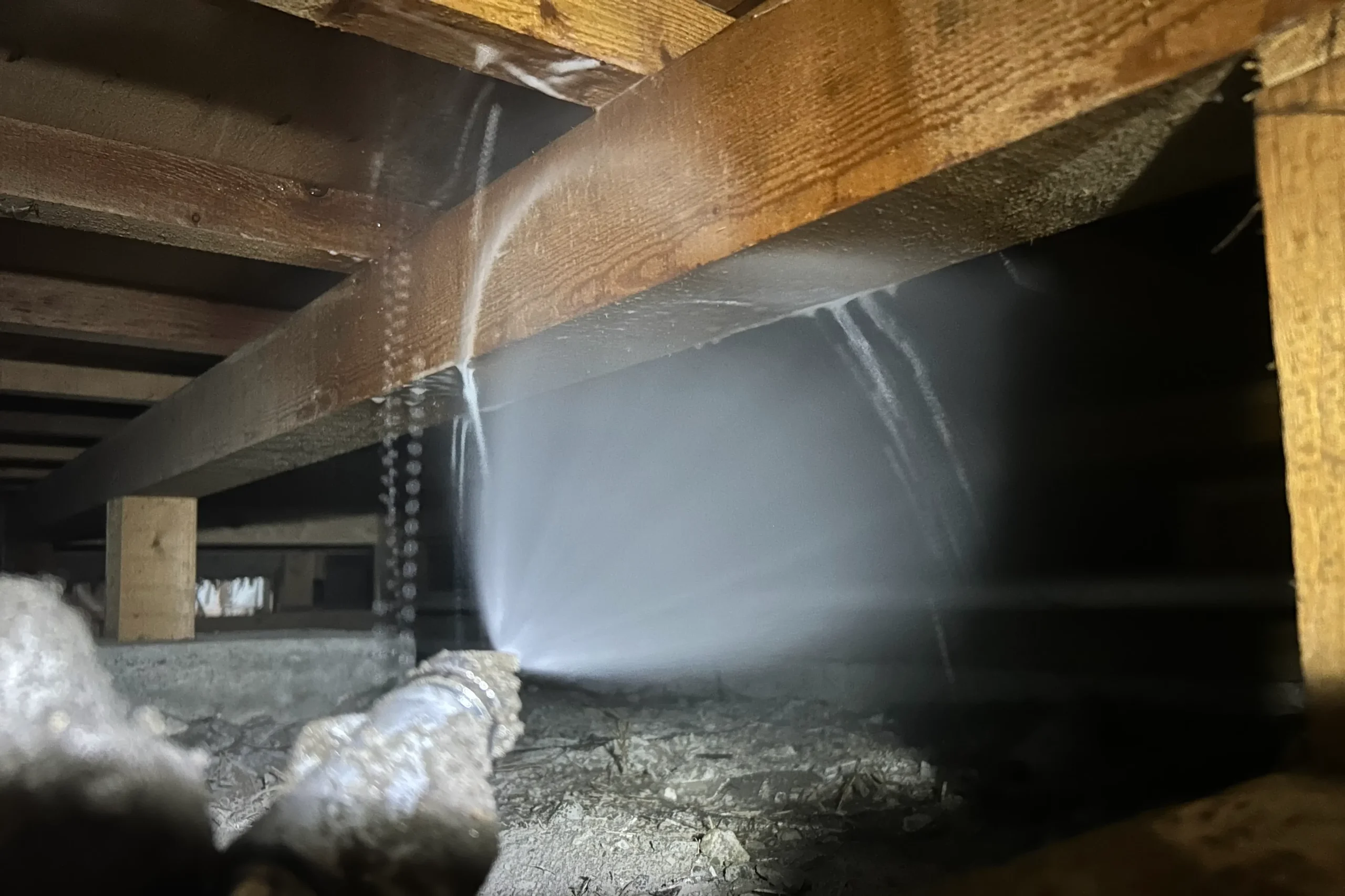 隅々まで届ける誠実な施工。狭い場所でも手を抜かず薬剤を散布。