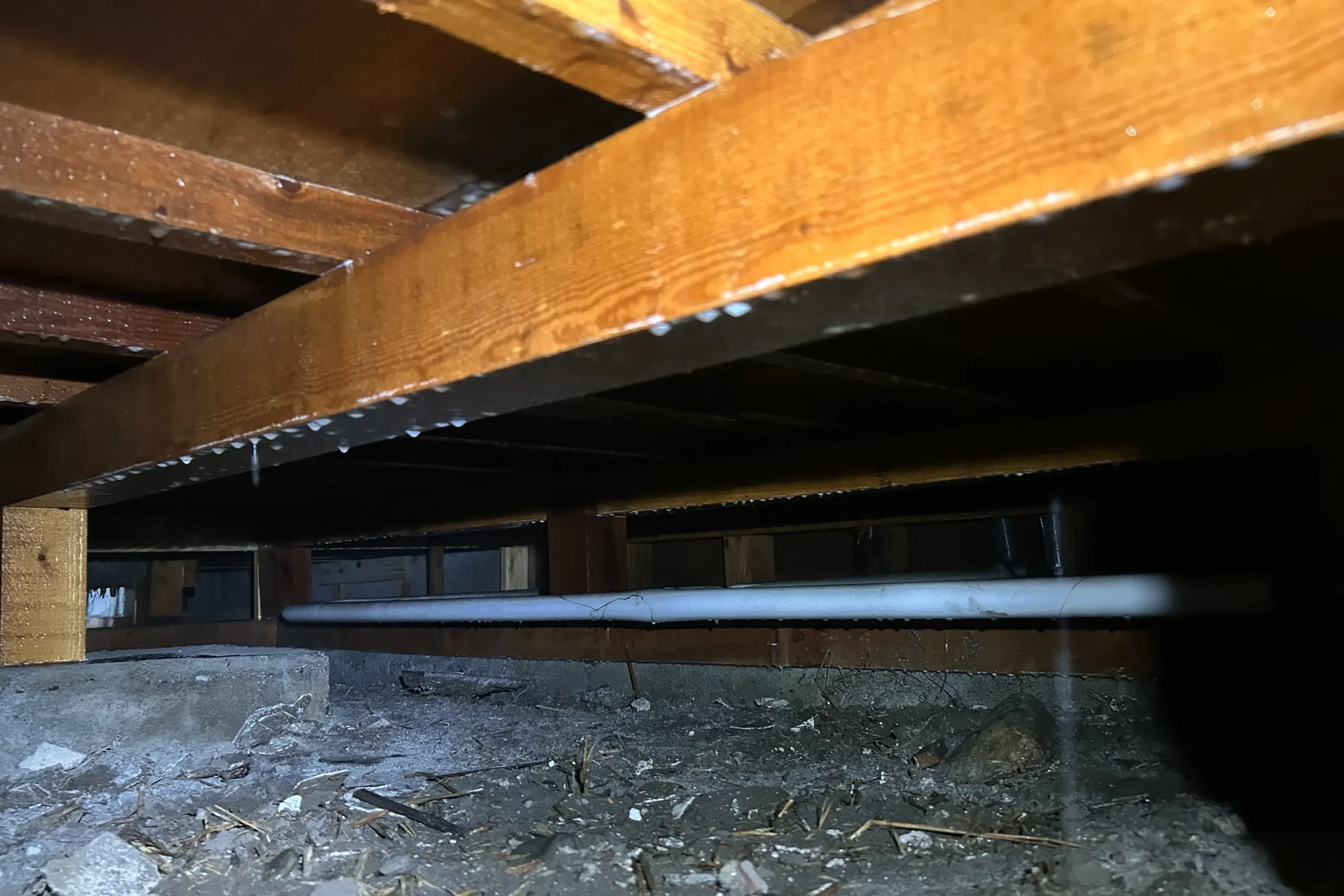 木材にたっぷりと薬剤を含ませ、シロアリを寄せ付けない処置が完了。