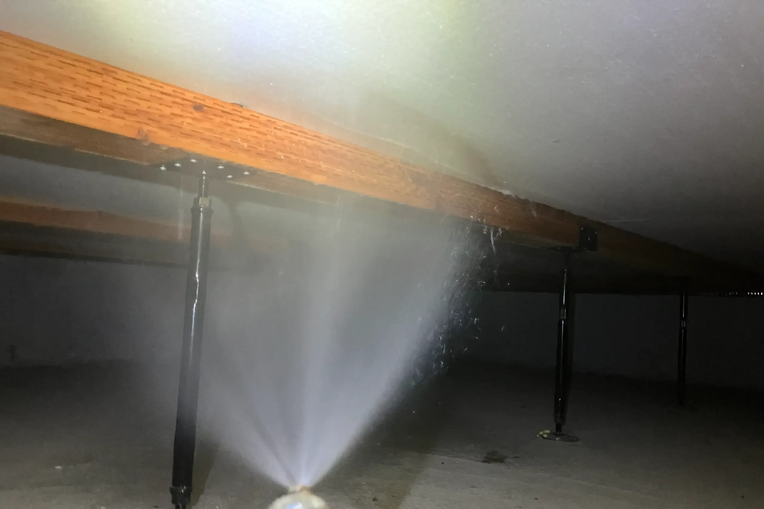 作業員が木材に向かって、シロアリ予防薬剤を噴霧している瞬間の様子