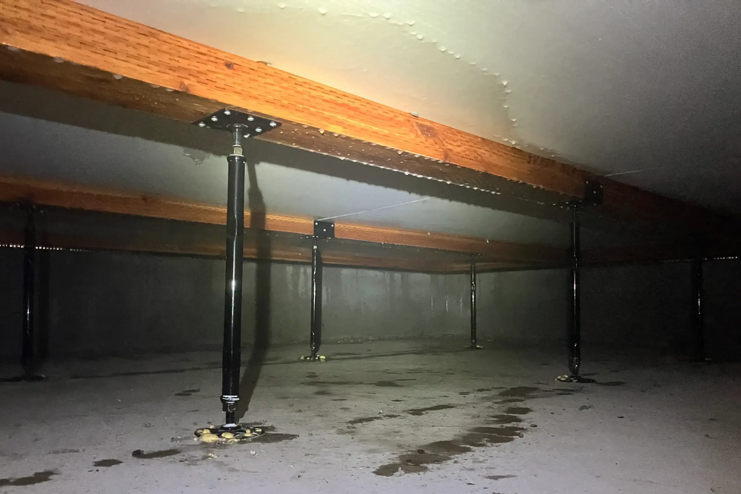 シロアリ予防薬剤が均一に散布され、保護された状態の木材の様子