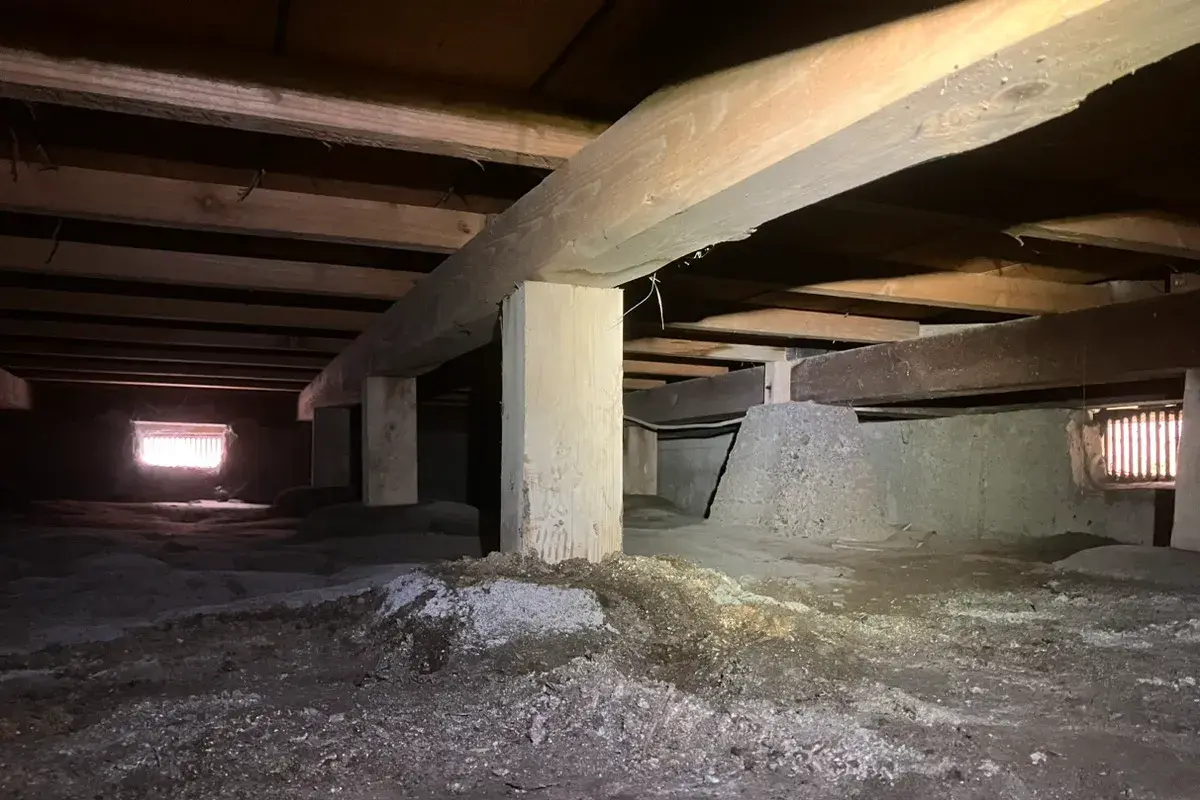 売却準備に向けた点検時の様子。目立った食害はないが、予防措置が必要な状態。