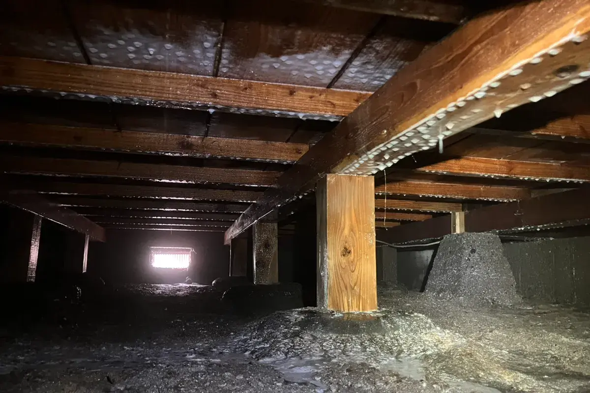 薬剤散布が完了した床下。木材と土壌に薬剤が浸透し、全体が保護された状態。