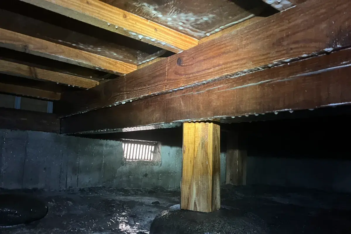 薬剤散布が完了し、木材にしっかり薬剤が浸透した床下の様子