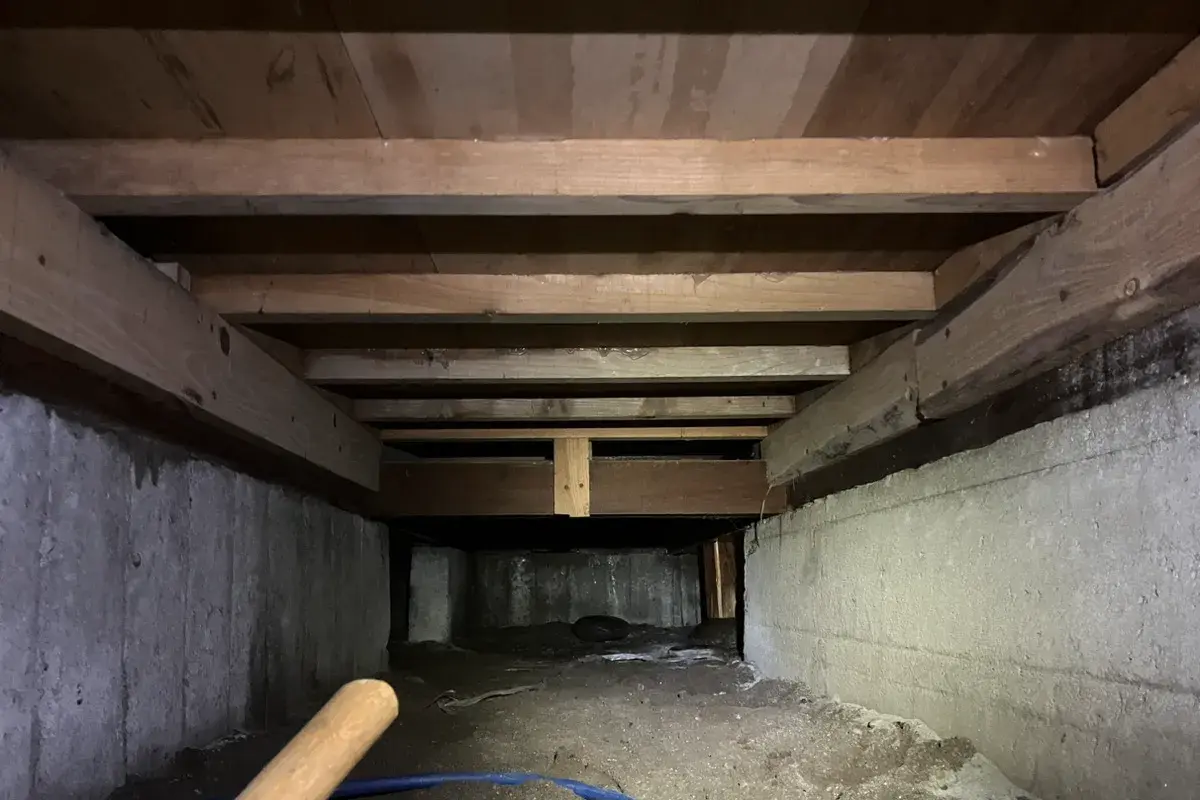 土壌が露出した床下で確認された、土台木部の状態