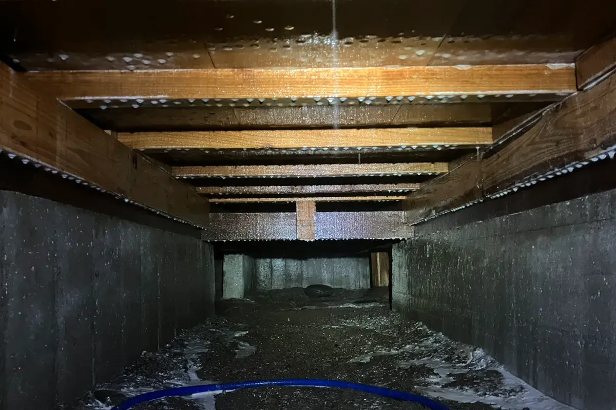 シロアリ駆除後、薬剤処理が施された床下の土台や束柱の木部