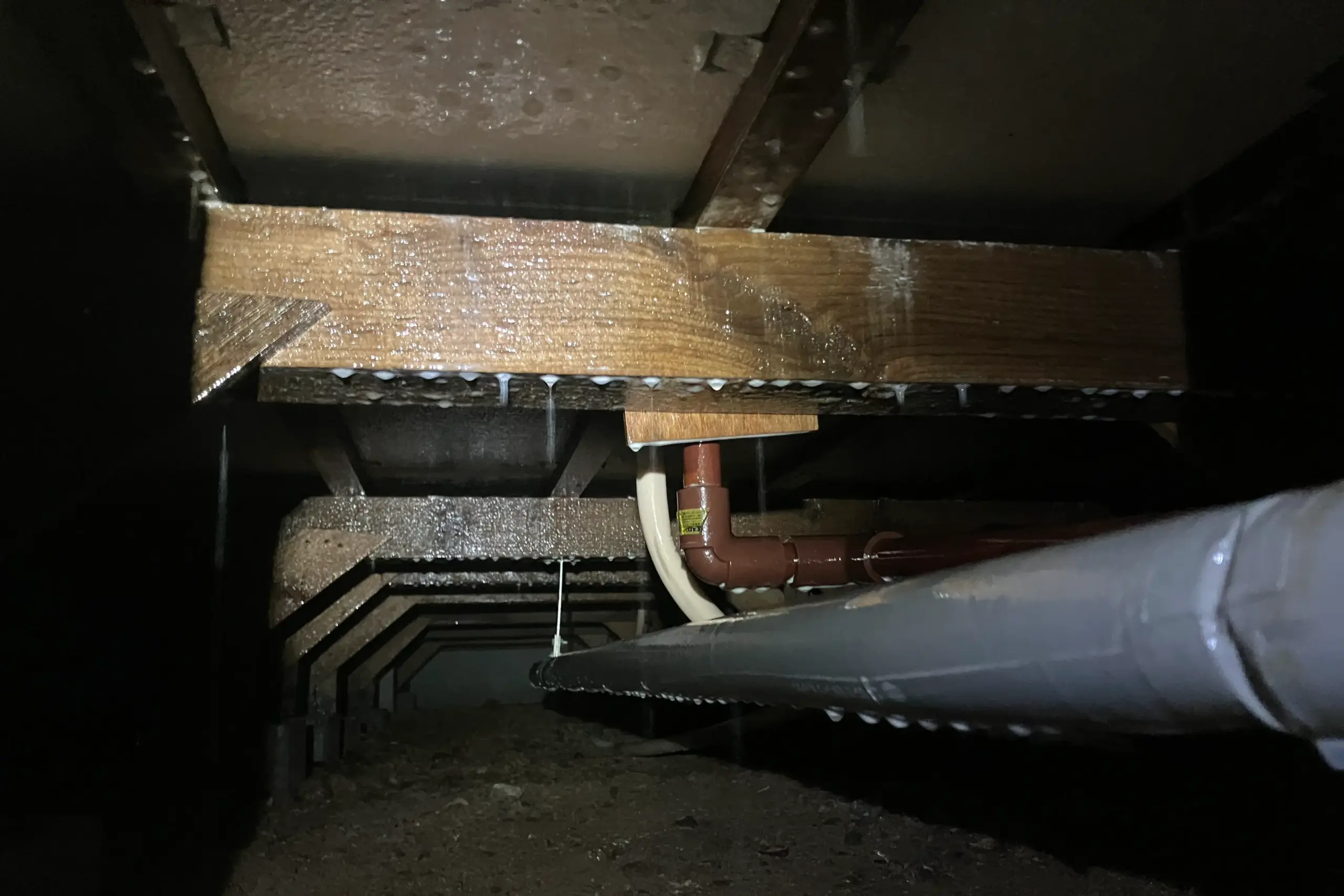 施工後の床下。薬剤が木材表面に付着し滴っている様子