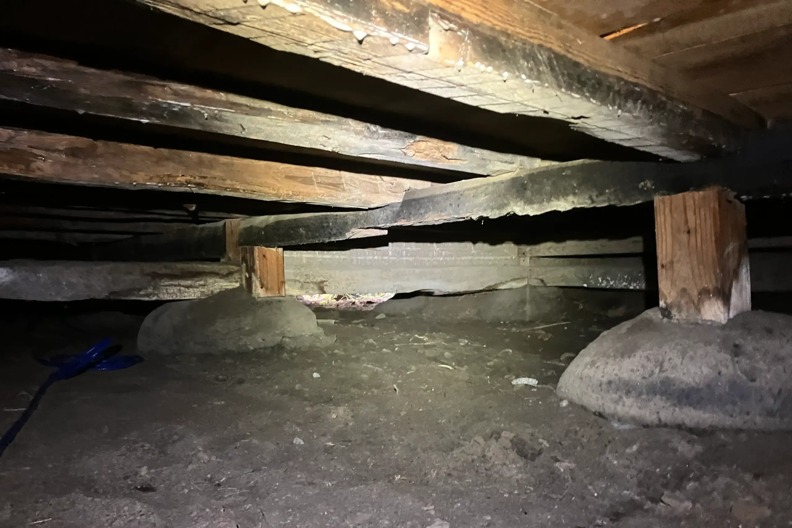 全体的に高湿度の環境で、シロアリの温床となっていた床下