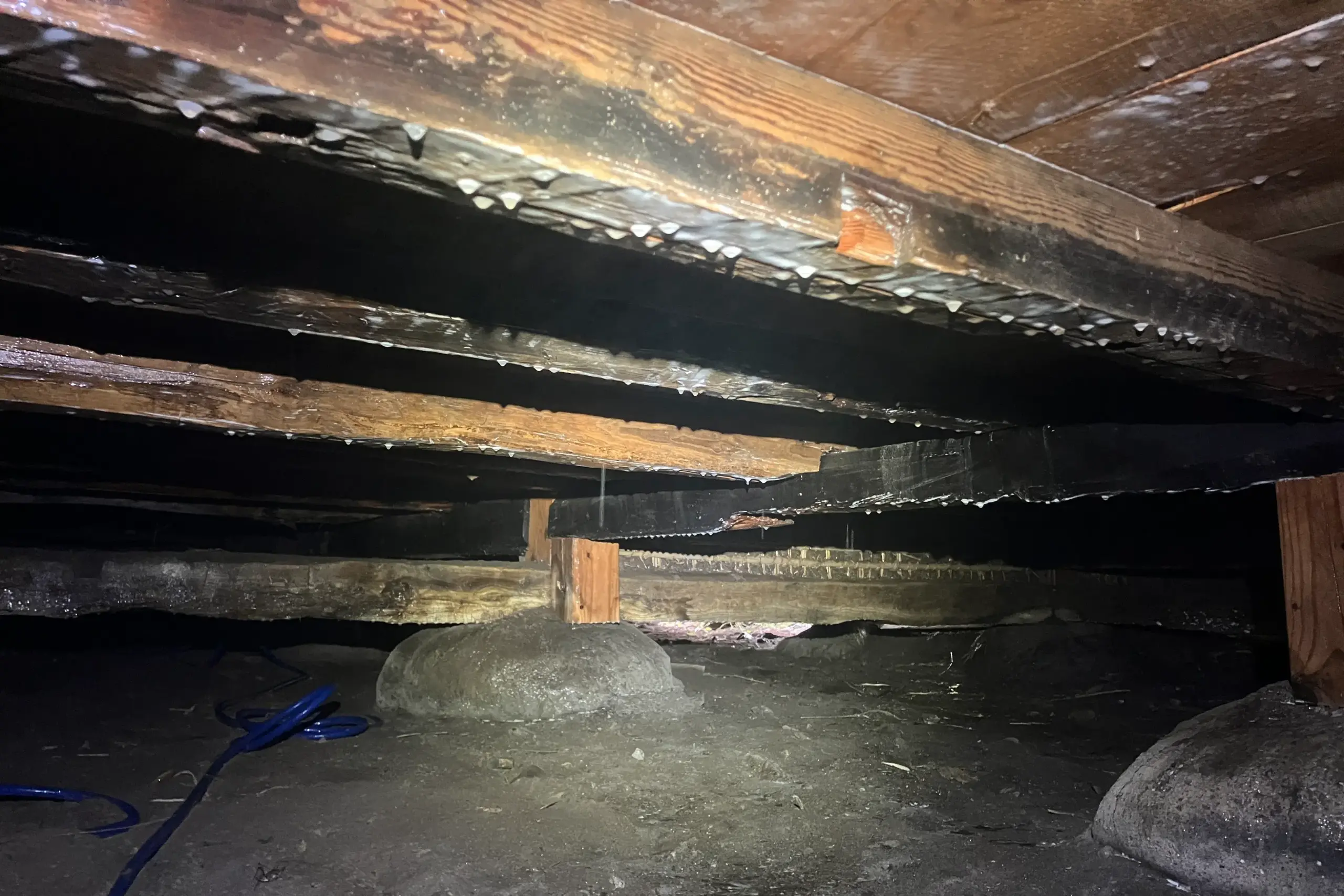 木材全周に強固な防護層(ケミカルバリア)を形成