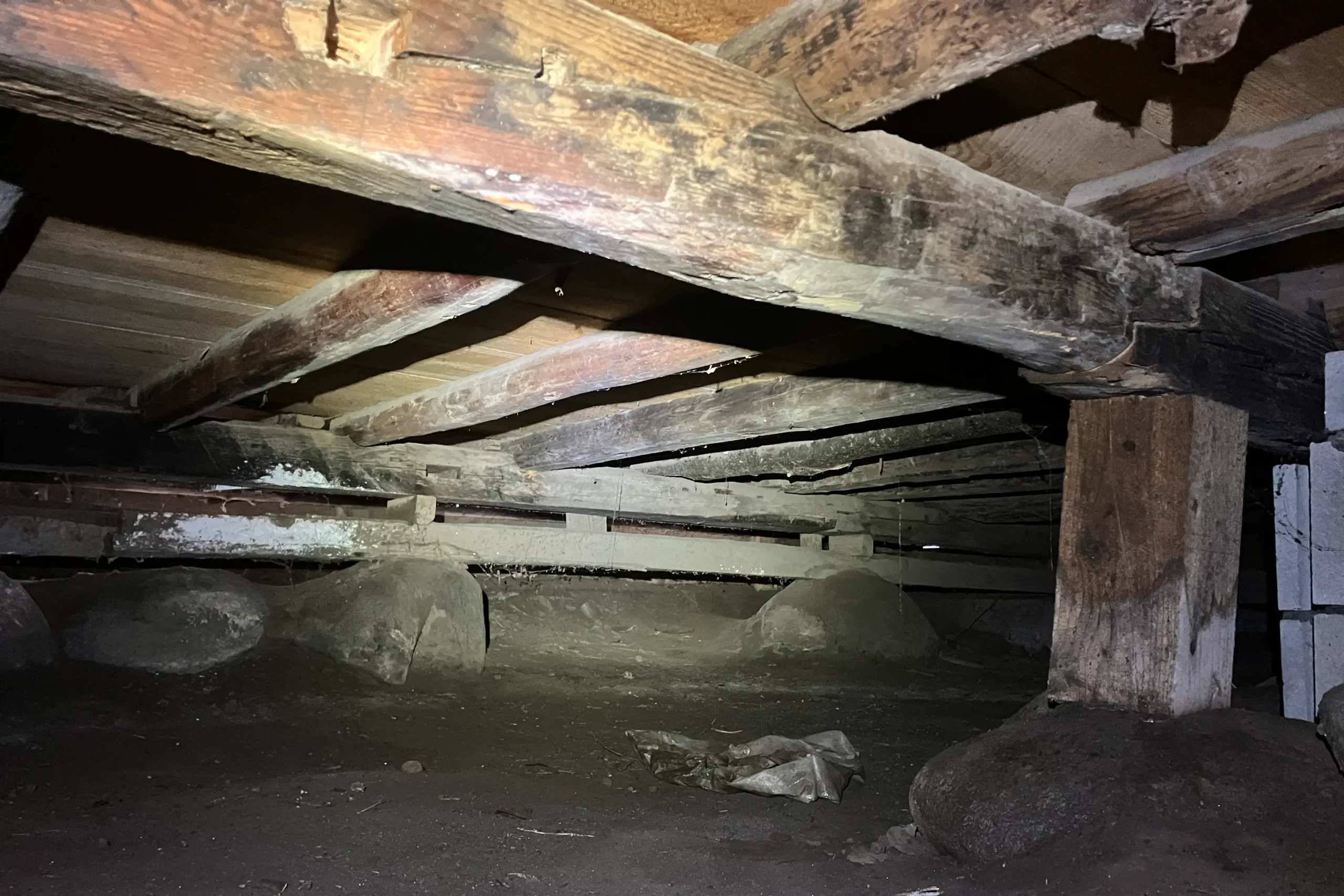 築60年の一戸建てにおける昔ながらの土間と独立基礎の床下状況
