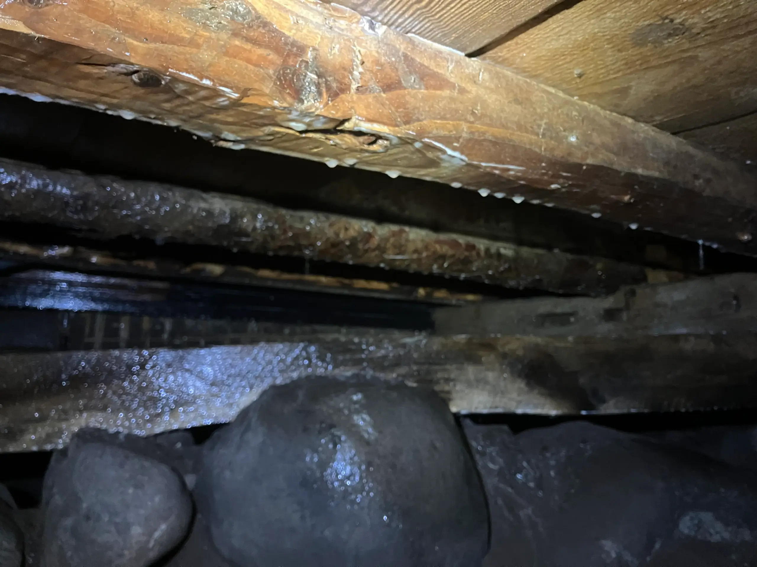 床下全面へのシロアリ駆除と予防処理完了