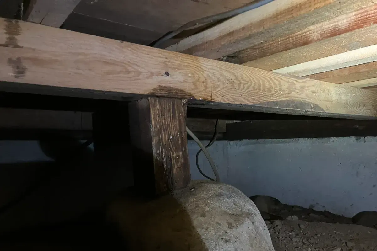 床のきしみ音の原因となっていた、築35年住宅のシロアリ被害箇所